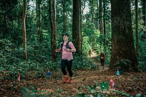 BIB: 
                            <button type="button" onclick="openModal(26135106)" class="btn btn-primary btn-sm float-right btn-popup" data-toggle="modal" data-target=".modal-high-quality">
                        <i class="fas fa-shopping-cart"></i> Add to Cart
                    </button>
                                            <button type="button" onclick="isThisMe(26135106, true)" class="btn btn-success btn-sm float-right btn-popup btn-isme hidden" data-toggle="tooltip" data-placement="bottom" title="นี่คือรูปของคุณใช่ไหม คลิกที่นี่เพื่อเอาเข้าอัลบั้ม">
                        <i class="fas fa-plus"></i> Add to album
                    </button>
                    <button type="button" onclick="isThisMe(26135106, false)" class="btn btn-warning btn-sm float-right btn-popup btn-isnotme hidden">
                        <i class="fas fa-ban"></i> Remove from album
                    </button>